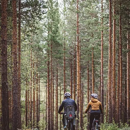 Saltdal Turistsenter Storjord