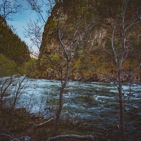 Jaktstuga Saltdal Turistsenter