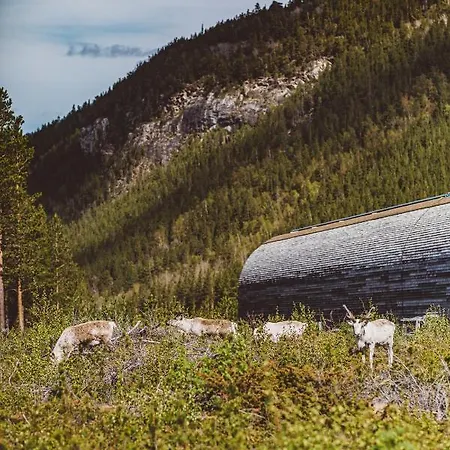 Saltdal Turistsenter Jaktstuga *