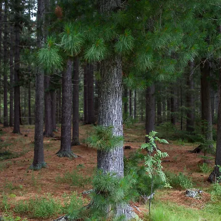 Jaktstuga Saltdal Turistsenter Storjord