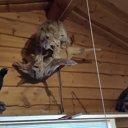 Saltdal Turistsenter * Storjord