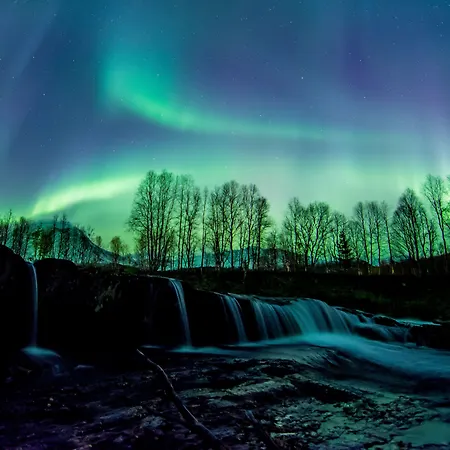 Saltdal Turistsenter Jaktstuga