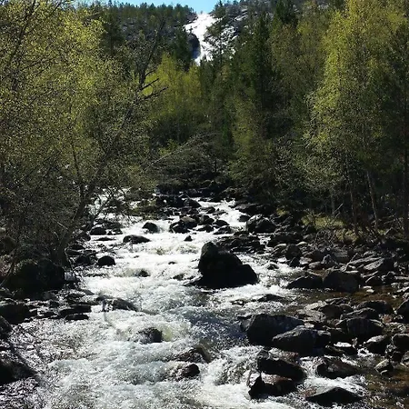 Saltdal Turistsenter Orman Evi *