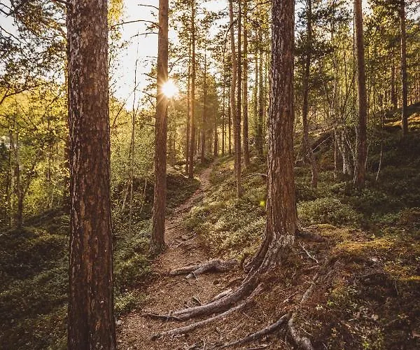 Saltdal Turistsenter Lodge
