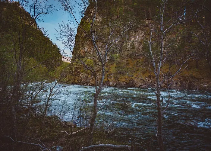 Lodge Saltdal Turistsenter