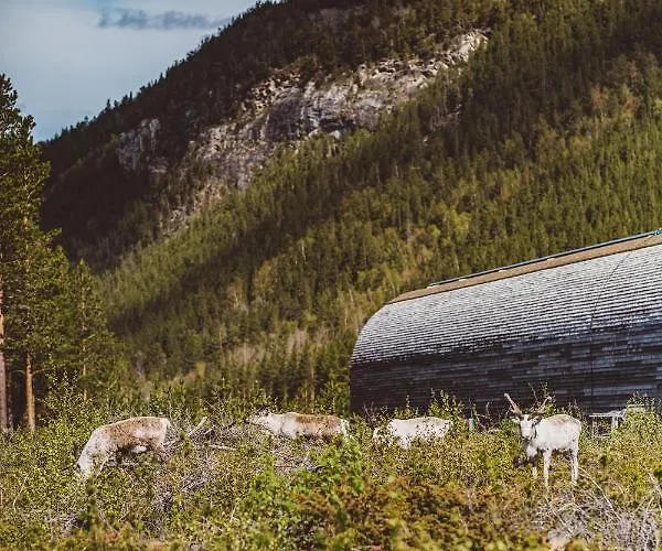 Saltdal Turistsenter Lodge *