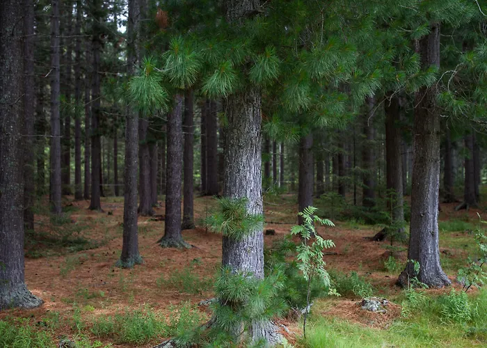 Lodge Saltdal Turistsenter Storjord
