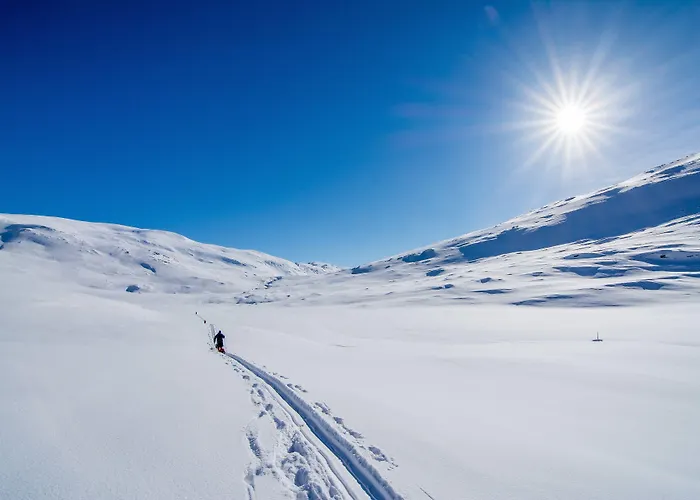 Saltdal Turistsenter Storjord