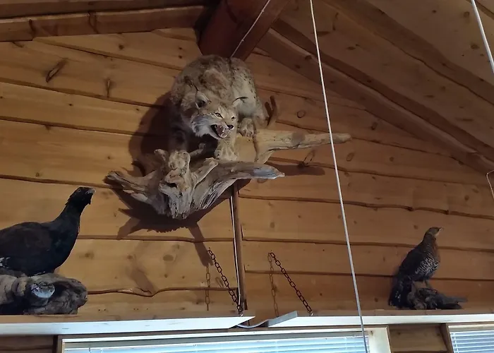 Saltdal Turistsenter * Storjord