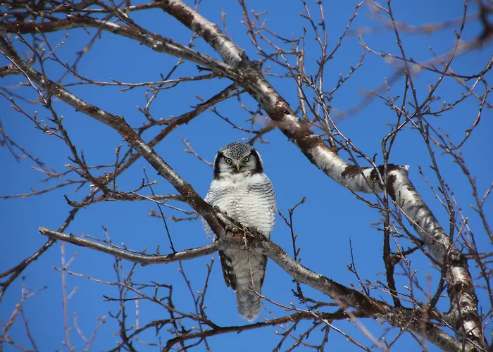 Saltdal Turistsenter Lodge *