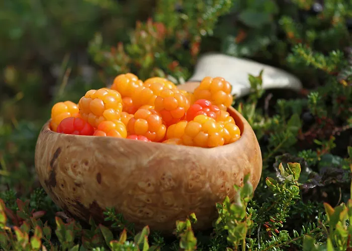 Saltdal Turistsenter Lodge Storjord