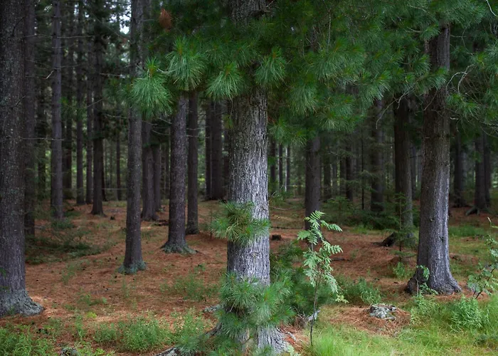 Saltdal Turistsenter