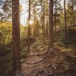 Saltdal Turistsenter Gerendaház