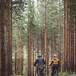 Saltdal Turistsenter Storjord