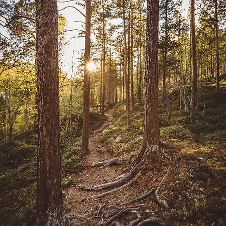 Saltdal Turistsenter Domek letniskowy
